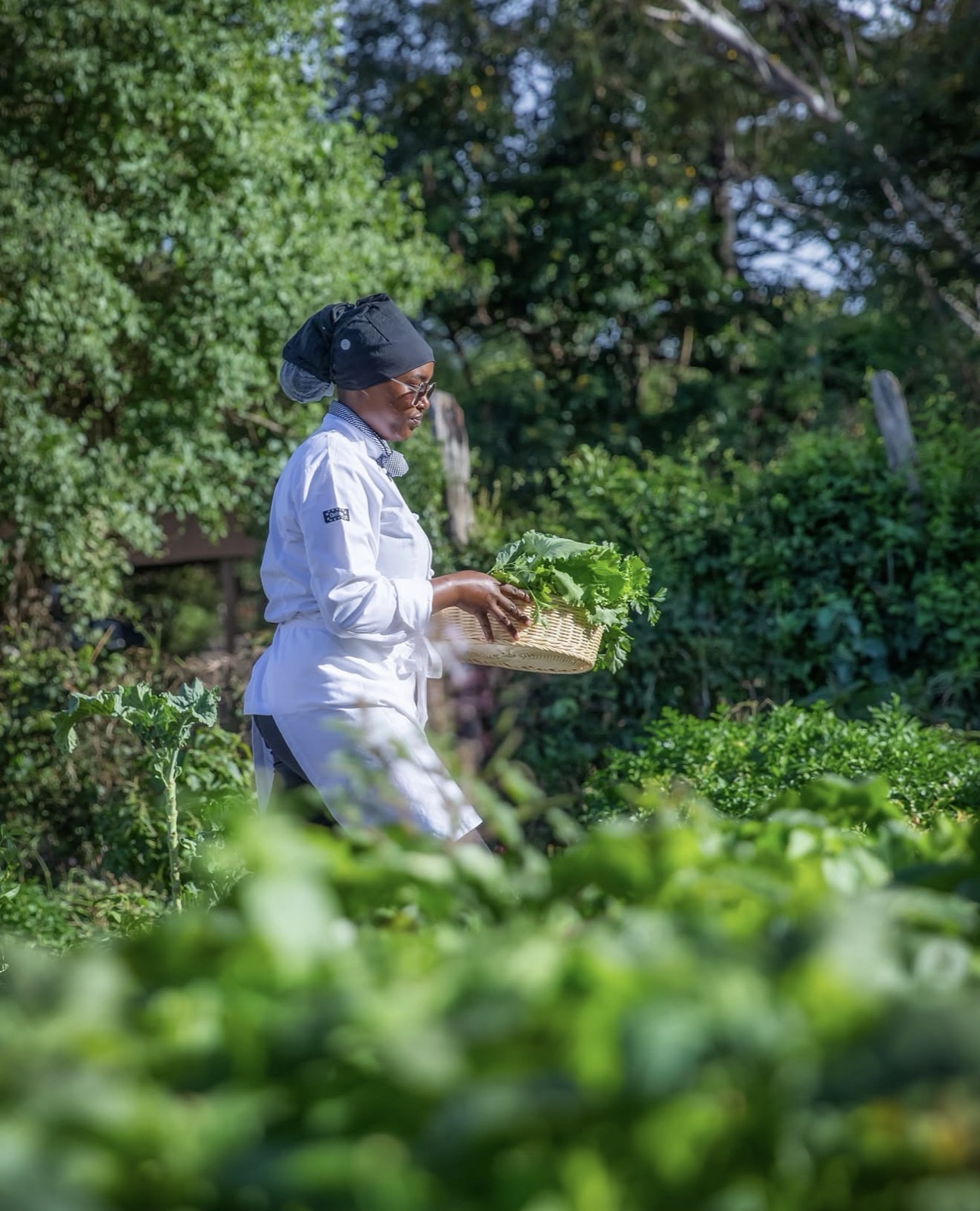 Chef with a basket in the kitchen garden